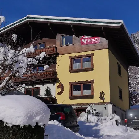 Hoelzl 3* Нойкирхен-ам-Гросфенедигер