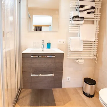 Hoelzl Нойкирхен-ам-Гросфенедигер